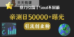 亲自测试日引500 自主创业粉丨有手就行的整个行业暴力行为引流方法自主创业粉-天天有课网