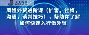 王熙凤出口外贸升阶课，帮助自己了解如何迅速入门做跨境电商-天天有课网