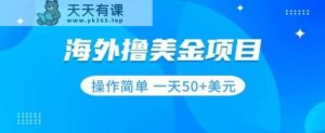撸美元新项目零门槛使用方便新手一天50 美金-天天有课网