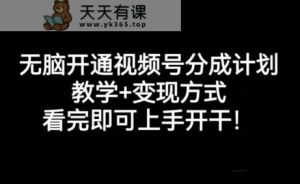 没脑子开通视频号分为方案，课堂教学 变现模式，看了就可以入门进行!-天天有课网