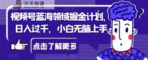 微信视频号蓝海领域掘金队方案，日入了千，新手没脑子入门【揭密】-天天有课网