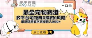 全新升级小宠物跑道全平台轻轻松松日入500 ，0风险性，0项目投资，可引流矩阵长期性收益-天天有课网