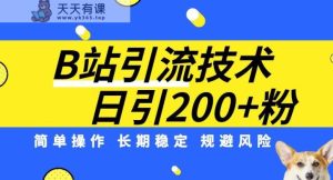 B站引流技术：每日引流方法200精准粉，易操作，持续稳定，防范风险-天天有课网