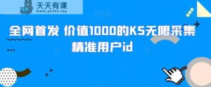 独家首发 使用价值1000的KS无尽收集精准客户id-天天有课网