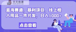 瀚海跑道,赚钱项目,网上橙人用具一件代发,日入1000-天天有课网