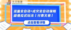 总流量自动式 交易量自动式家庭保姆级简单化游戏玩法【付费文章】-天天有课网