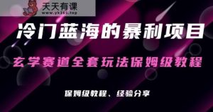 风水玄学新项目小众的爆利跑道，风水玄学新项目家庭保姆级实际操作实例教程-天天有课网