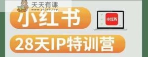 28天小红书博主IP夏令营实践经验，快速吸粉，快速转现-天天有课网