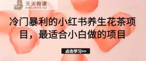 小众赚钱的小红书的养生花茶新项目，比较适合新手做的项目【揭密】-天天有课网