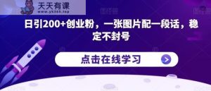 日引200 自主创业粉,一张图片配一段话,平稳防封号【揭密】-天天有课网