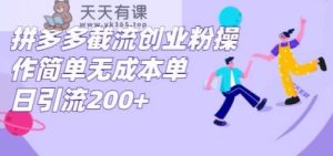 拼多多平台截留自主创业粉,使用方便无成本费单日引流方法300-天天有课网