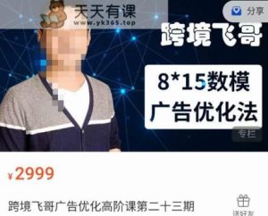 跨境电子商务飞哥·广告营销高端课第二十三期,8*15数学分析模型广告营销法,用数据驱动决策-天天有课网