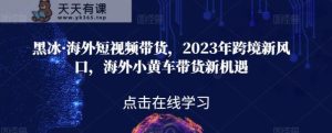 黑冰·国外短视频卖货,2023年跨境电商新蓝海,国外ofo单车卖货机遇与挑战-天天有课网