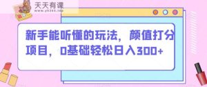 初学者听得懂游戏的玩法，颜值打分新项目，0基本轻轻松松日入300-天天有课网