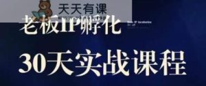 诸葛亮·2023老总IP实战演练课，实体线同城引流拓客，IP卵化必听-天天有课网