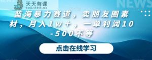 蓝海暴力赛道,卖朋友圈素材,月入1w+,一单利润10-500不等-天天有课网