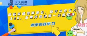 最新卖微信群项目,新手小白日入300,不用冷启动第一天就能卖-天天有课网