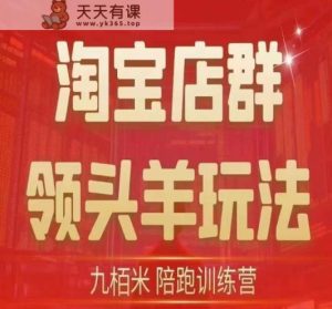 九栢米-淘宝店群引导者游戏的玩法，教给大家所有淘宝店群引导者游戏的玩法以及精益化管理/最后蓝海/尾销等信息-天天有课网