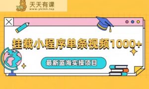 复位小程序一条短视频爆红变现1000 ,全新升级蓝海操作过程最新项目-天天有课网