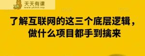 了解互联网的这三个底层逻辑,做什么项目都手到擒来-天天有课网