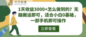 1天收益3000+怎么做到的？无脑搬运即可，适合小白0基础，一部手机即可操作-天天有课网