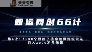 亚运网创66计第4计：1000个野路子信息差保姆级玩法，日入3000不是问题-天天有课网