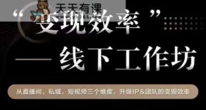 变现高效化线下讨论会，从播直间、公域流量、视短频个三维度，升级IP和团队变现高效化-天天有课网