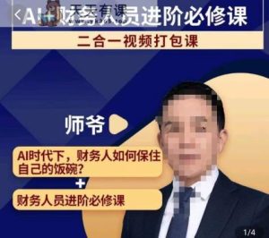 AI 财务人员进阶必修课二合一小视频装袋课,财务人员进阶必修课-天天有课网
