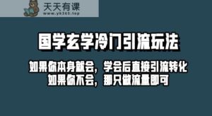 抖音短视频风水玄学小众游戏游戏玩法起号住家保姆级入门教程，单日推广方法100 精准风水玄学粉-天天有课网
