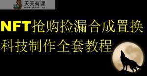 NFT限时秒杀测漏形成拆换科技制作全套入门教程-天天有课网