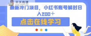 全新升级蓝海项目，小红书账号解封日入200＋【揭秘】-天天有课网