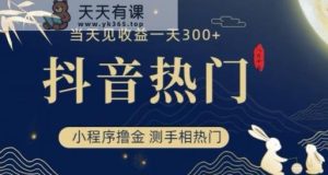 抖音最新小程序撸金,测手掌纹抖音上热门,当日见赢利一小时变现300 【揭秘】-天天有课网