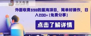 外面收费398的蓝海项目，简单好操作，日入200+【免费分享】-天天有课网