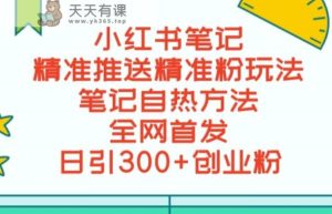 最新小红书笔记精准推送2000+精准粉，单日导流私欲最少300【脚本+教程】-天天有课网