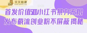 首发价值5100小红书暴力无限发布截流创业粉不屏蔽揭秘-天天有课网