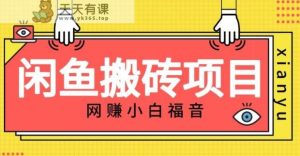 适合新手的咸鱼搬砖项目，日入50-100+，每天搞点零花钱-天天有课网