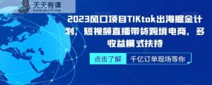 2023风口项目TikTok出海掘金计划，短视频直播带货跨境电商，多收益模式扶持-天天有课网