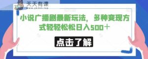 小说广播剧最新玩法，多种变现方式轻轻松松日入500＋【揭秘】-天天有课网