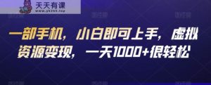 一部手机，小白即可上手，虚拟资源变现，一天1000+很轻松-天天有课网