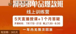 钟辰·拼多多类目爆款班,一个拼多多超级爆款养一个卓越团队-天天有课网