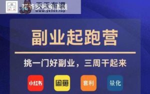 花爷第二职业冲刺营·第4期，挑一门好第二职业，三周搞上去-天天有课网