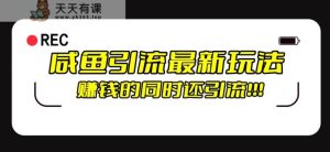 闲鱼引流方式全新升级游戏的玩法,赚钱的此外,日推广方法100-天天有课网