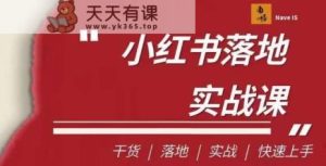 南悟·小红书的诊治流量立式实战模拟课，干货知识专业知识/立式/实战模拟/快速上手-天天有课网
