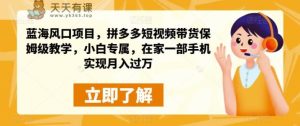 蓝海蓝海项目，拼多多短视频卖货住家保姆级教学过程，初学者特享，在家里面一部手机进行月入过万-天天有课网