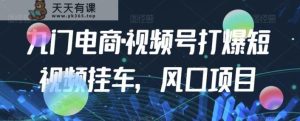 九门电商·视频号打爆短视频挂斗,蓝海项目-天天有课网