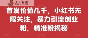 先发使用价值好几千,小红书的无尽关心,暴力行为引流方法自主创业粉,精准粉揭密-天天有课网
