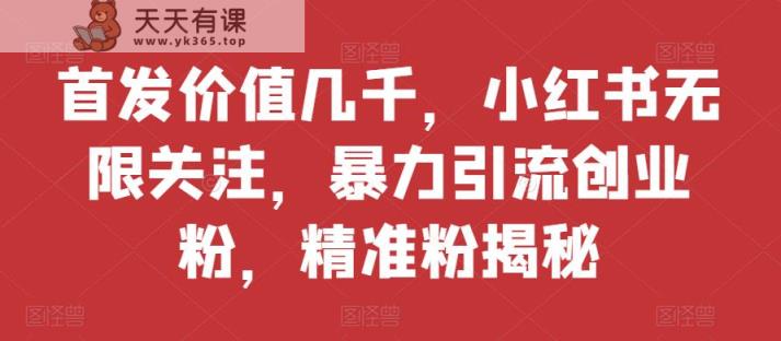 先发使用价值好几千，小红书的无尽关心，暴力行为引流方法自主创业粉，精准粉揭密-天天有课网