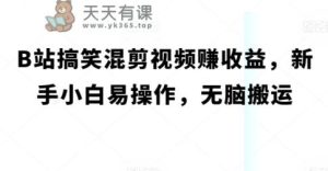 B站搞笑幽默混剪视频赚盈利,新手入门易上手,没脑子运送-天天有课网