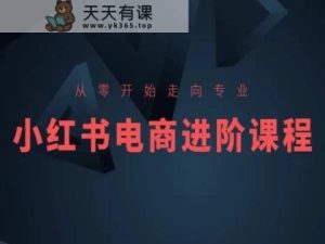 从零开始迈向技术专业，小红书电商升阶课程内容-天天有课网
