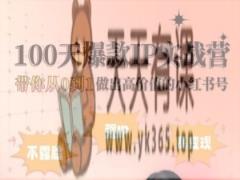 小红书的100天爆品IP实战营，陪你从0到1作出高颜值的小红书号-天天有课网